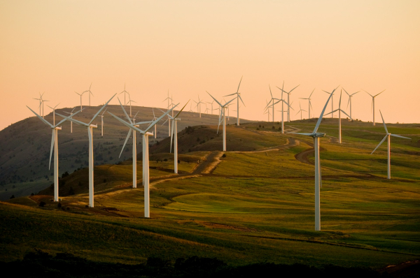 Ottimizzazione profili social per azienda di soluzioni energetiche sostenibili