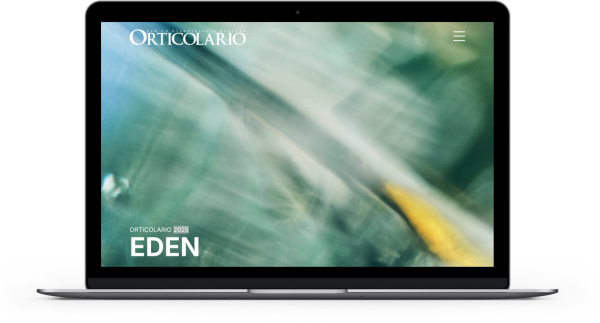 Realizzazione sito web per grandi eventi Como